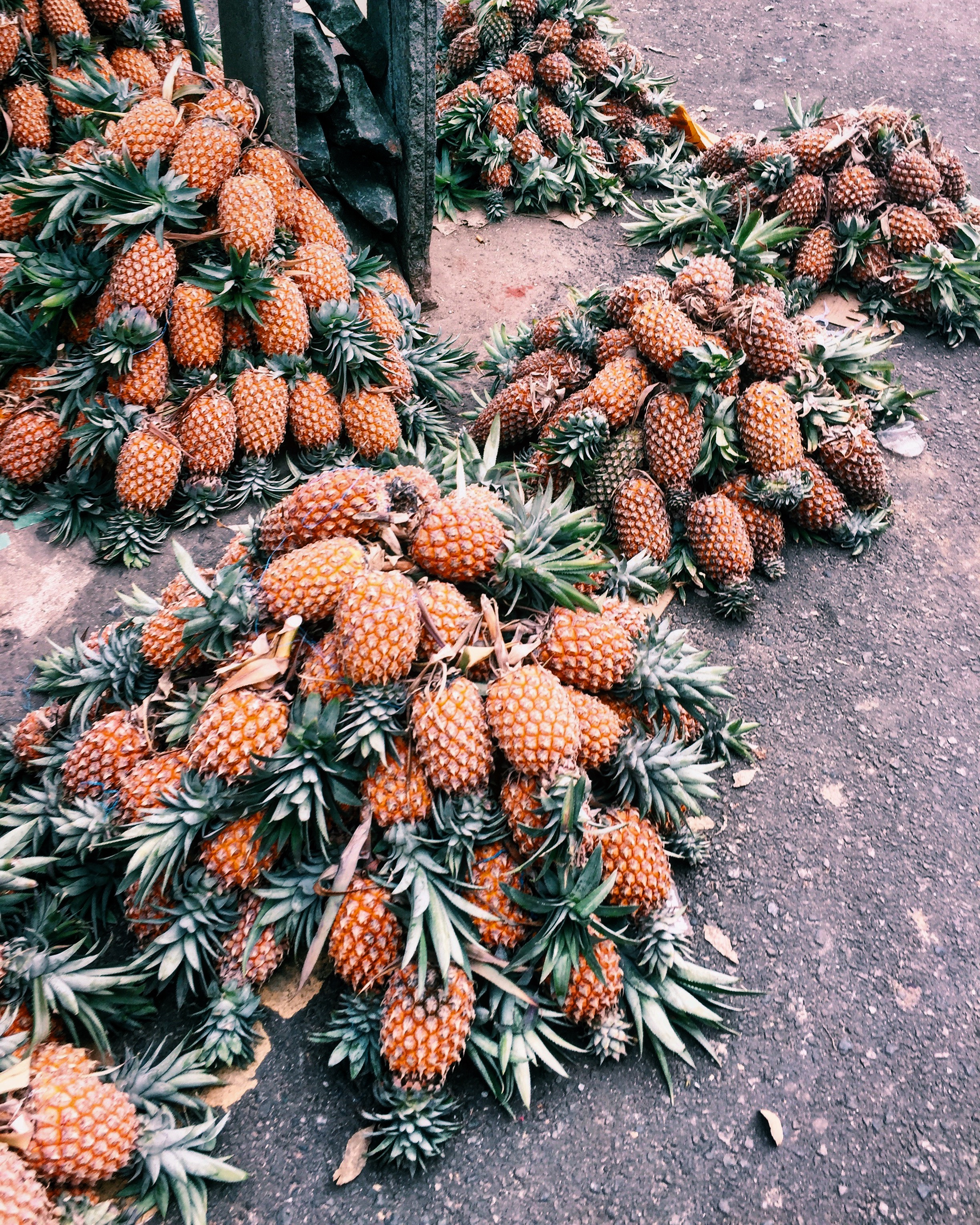 Processed with VSCO with c1 preset