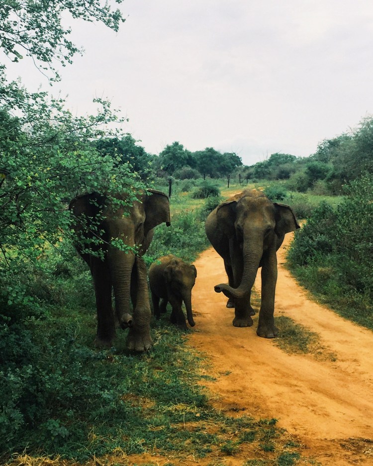 Processed with VSCO with g3 preset