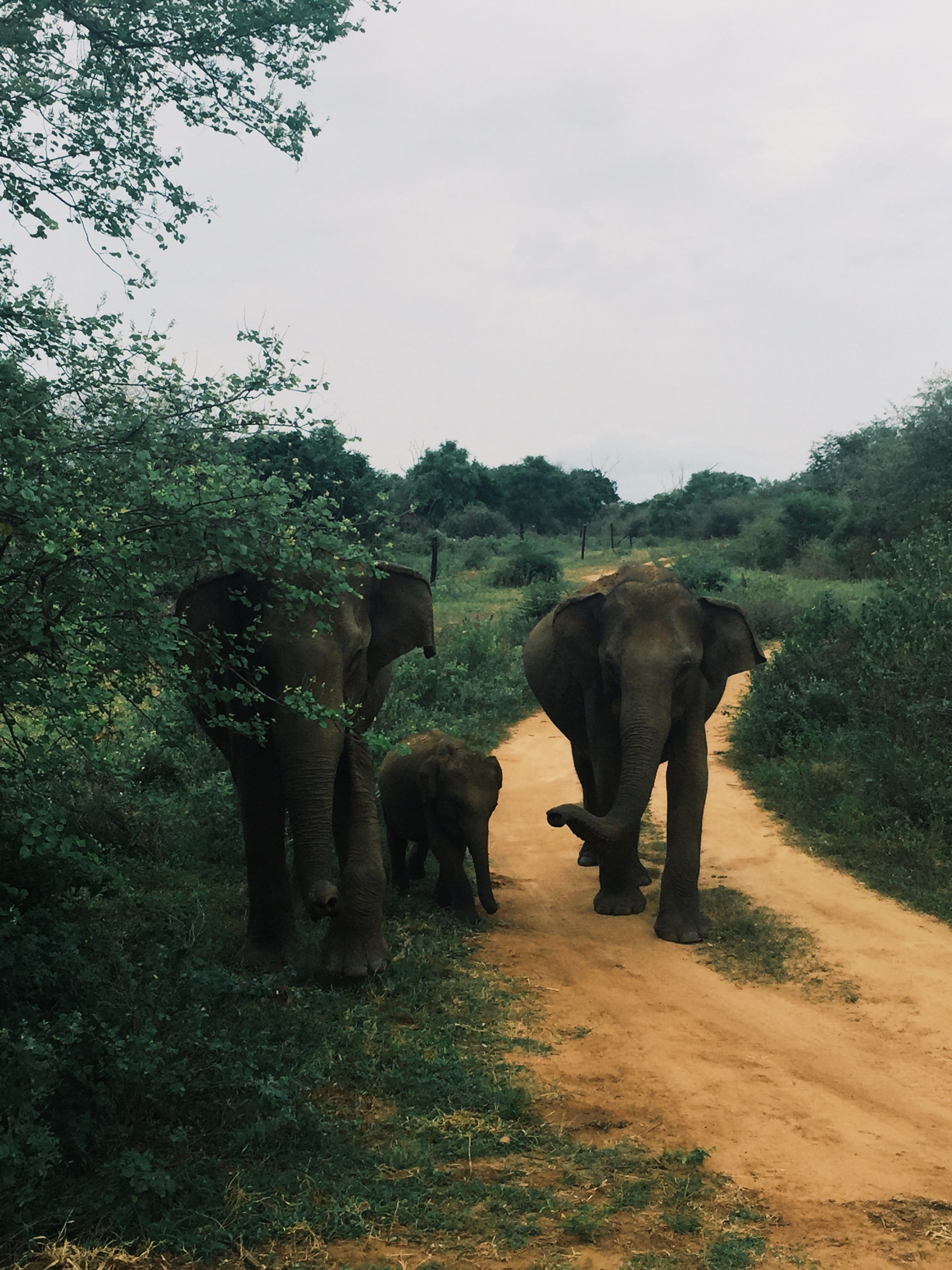 Processed with VSCO with g3 preset