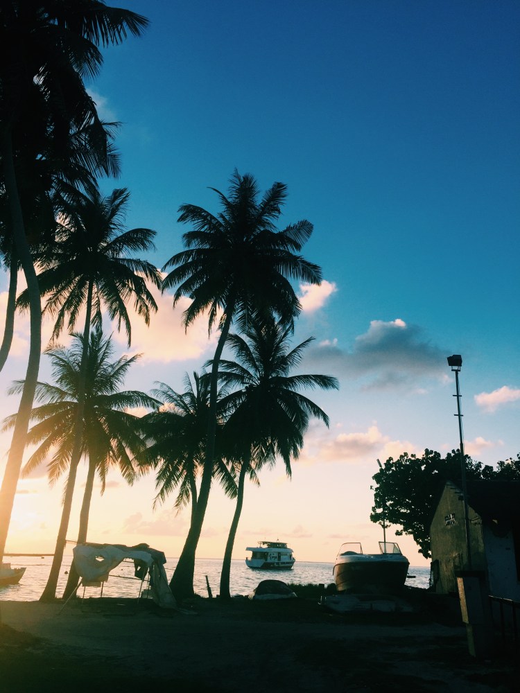 Processed with VSCO with c1 preset