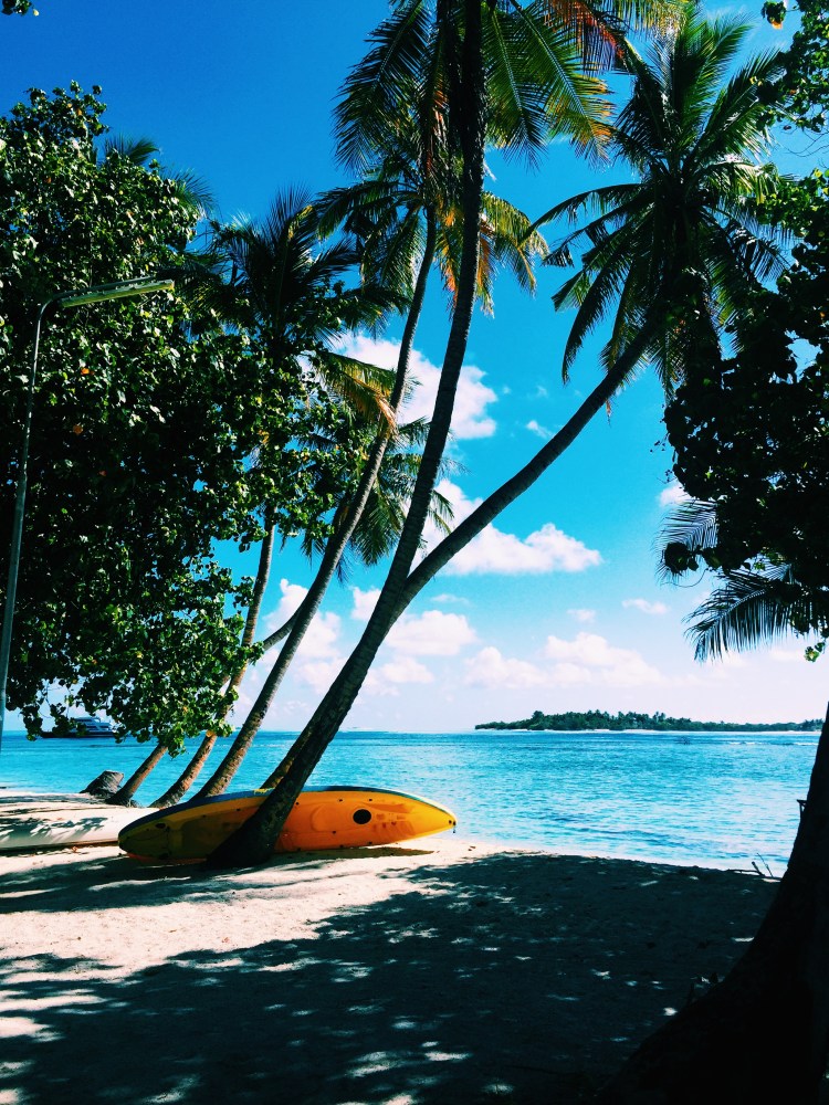 Processed with VSCO with c1 preset