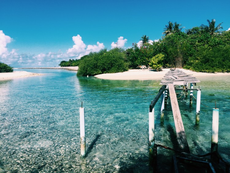 Processed with VSCO with c1 preset