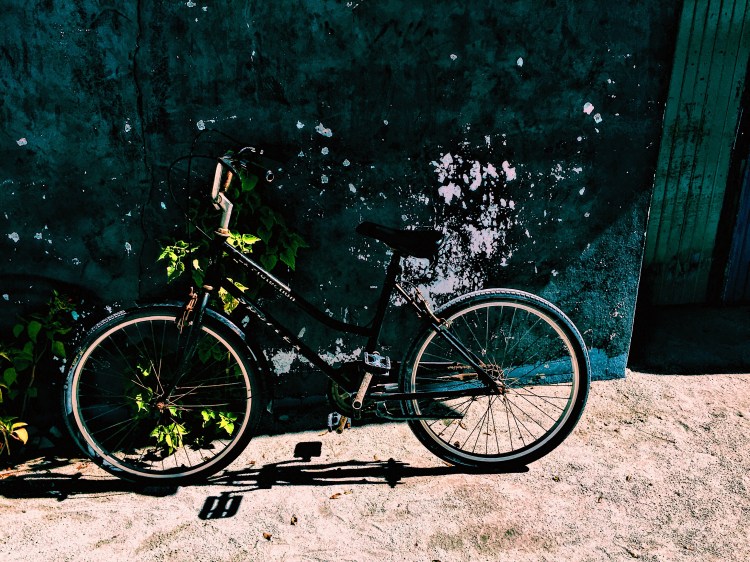 Processed with VSCO with c1 preset