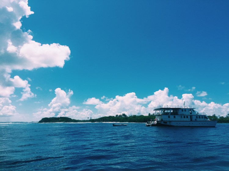 Processed with VSCO with c1 preset