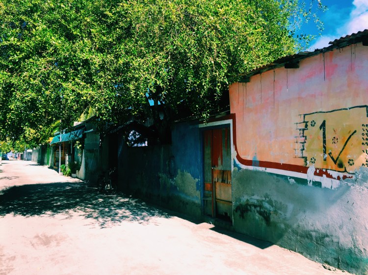 Processed with VSCO with c1 preset