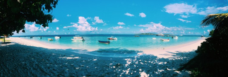 Processed with VSCO with c1 preset