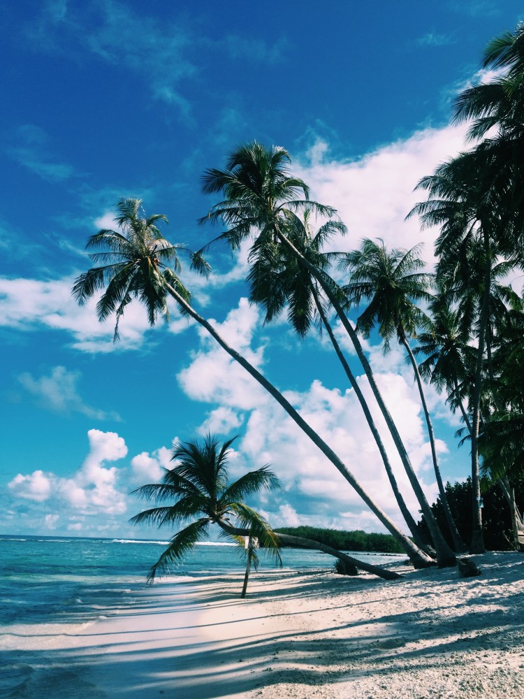 Processed with VSCO with c1 preset