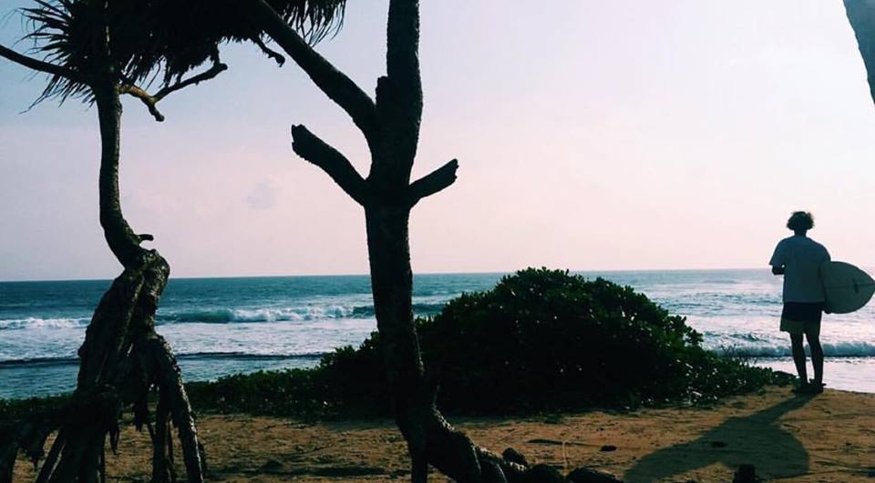 42657005_532751297147290_6517046034781175808_n