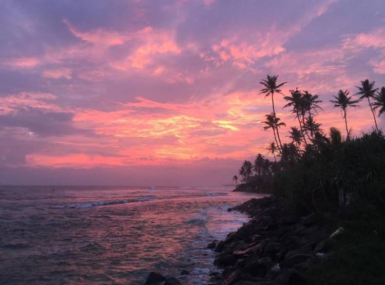 42680697_1899576316802639_4855112983669374976_n