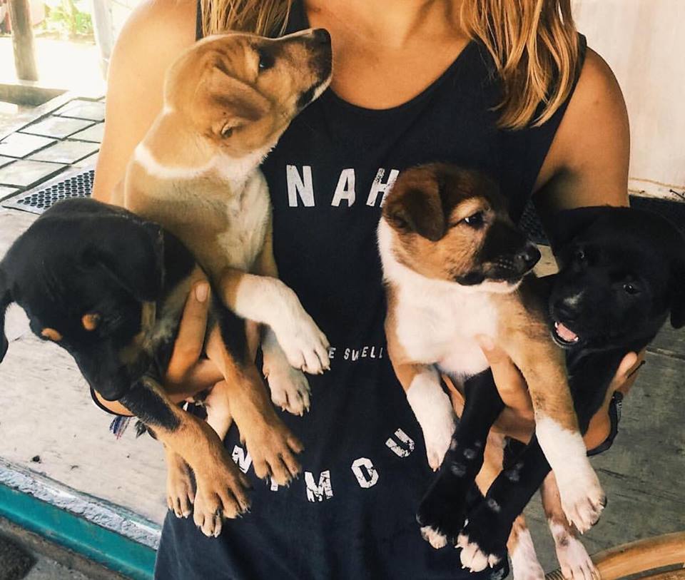 42691392_520120451788165_2799539741723197440_n