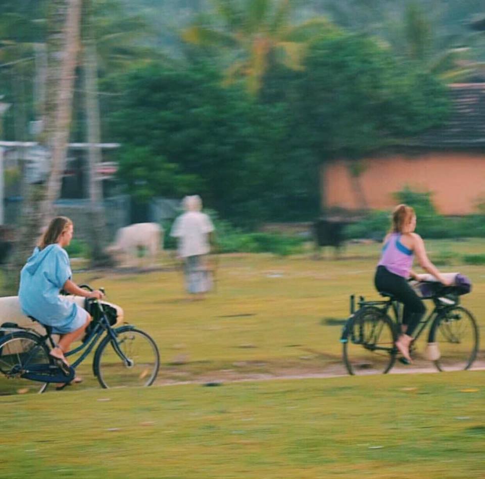 42728350_308202859981012_469920403444203520_n