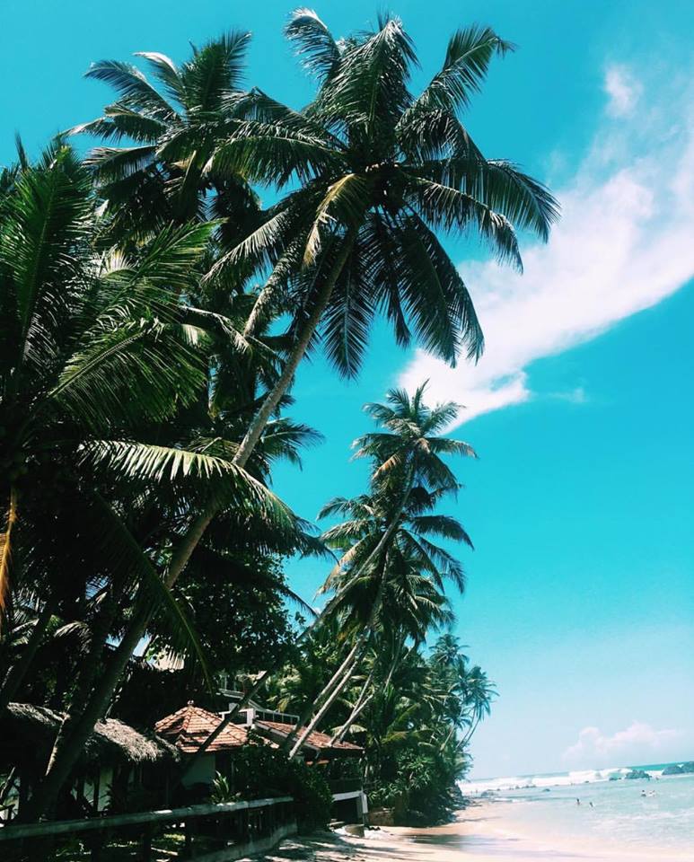 42745776_694716127557641_7998723916979765248_n