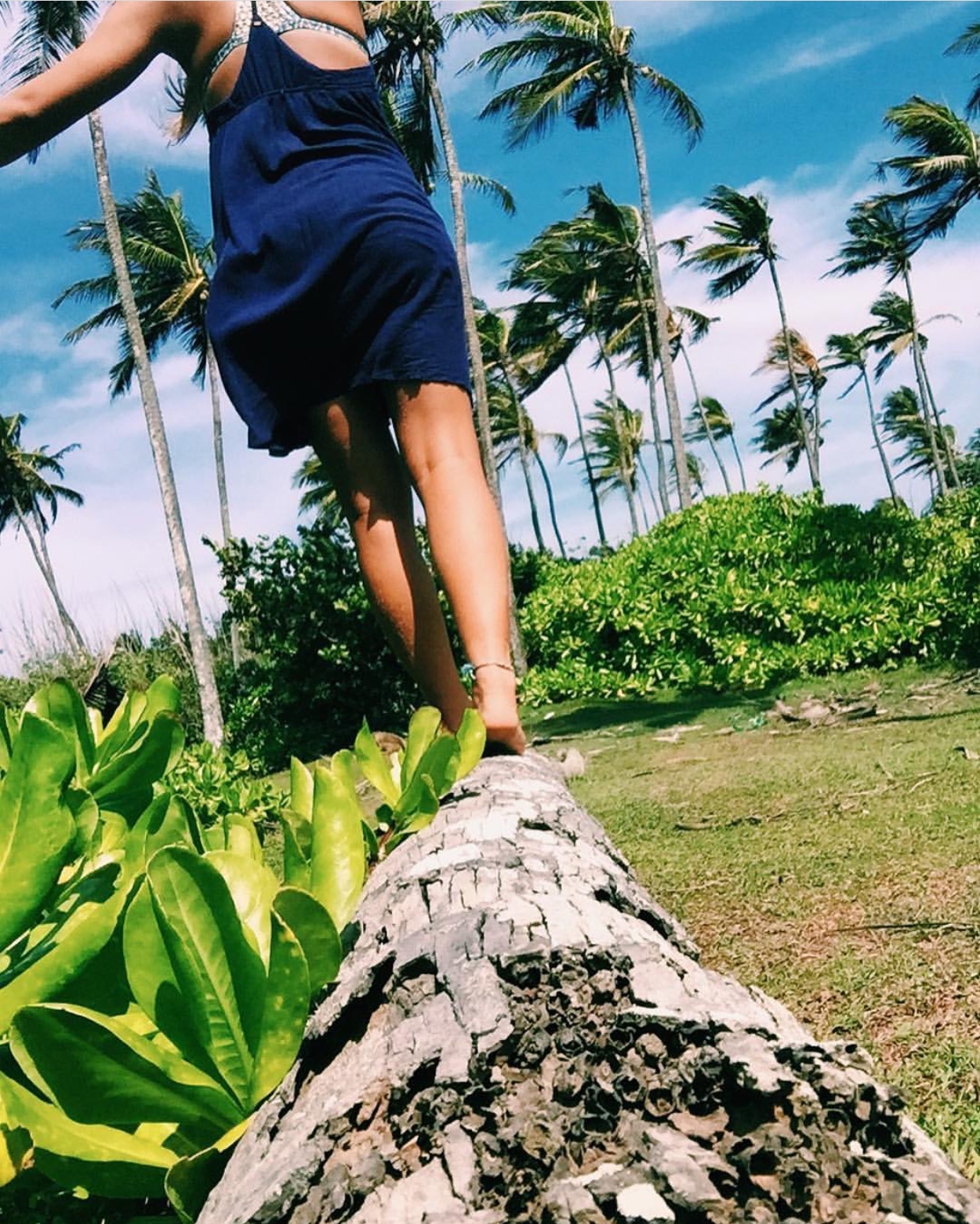 9DB62F0A-FD44-49C9-AC90-F7D5FF375DFB