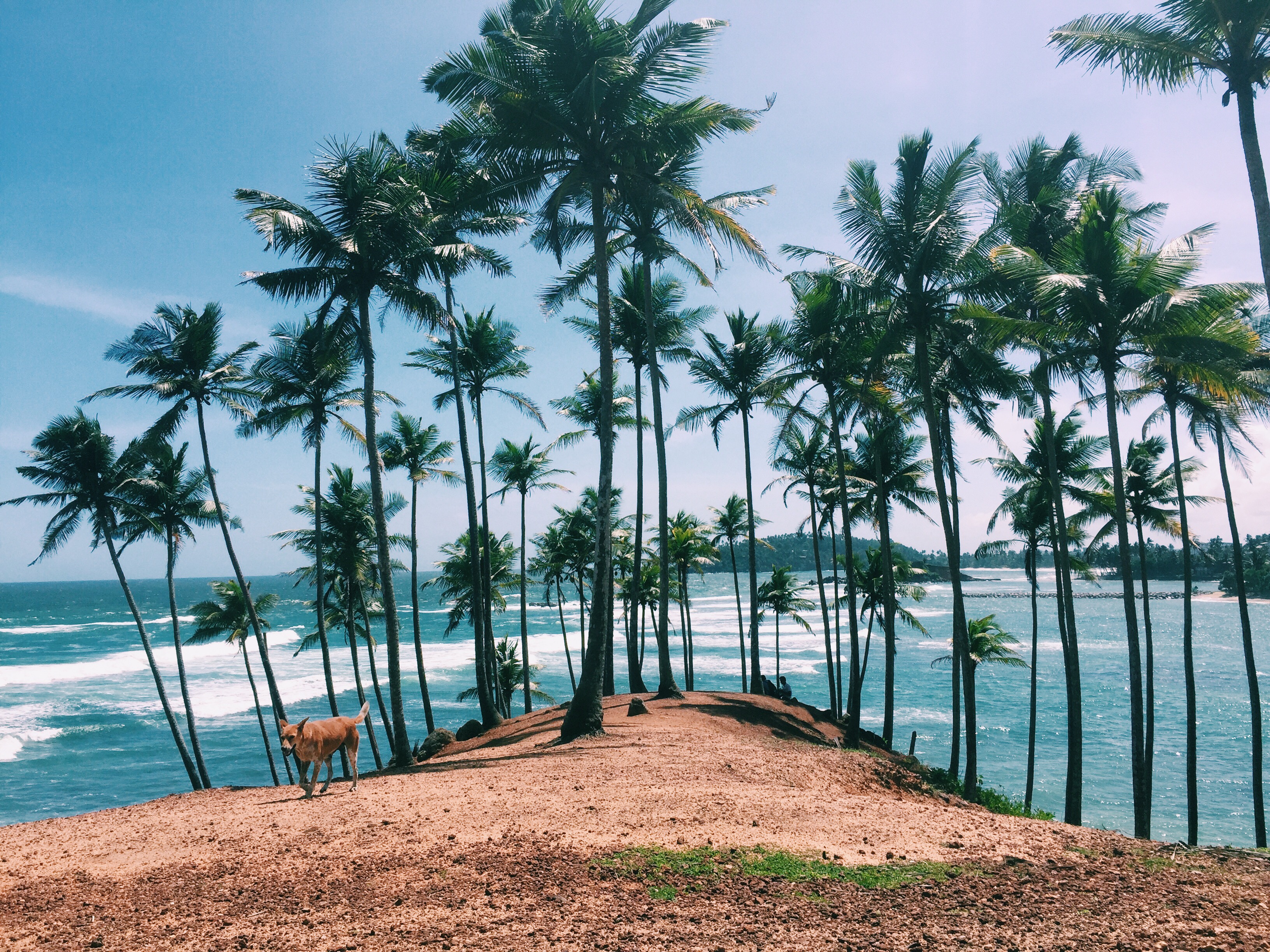 Processed with VSCO with c1 preset