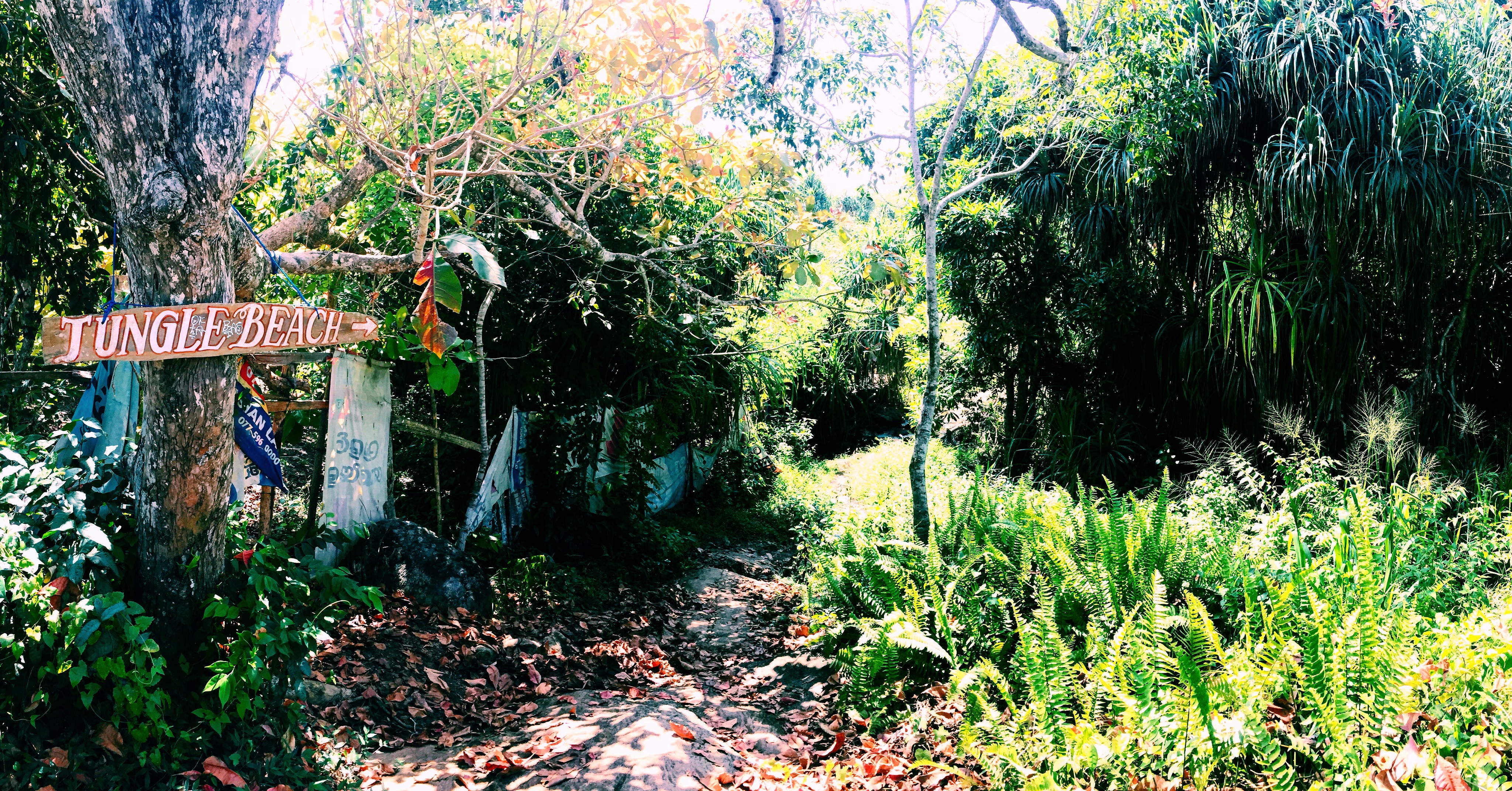 Processed with VSCO with c1 preset