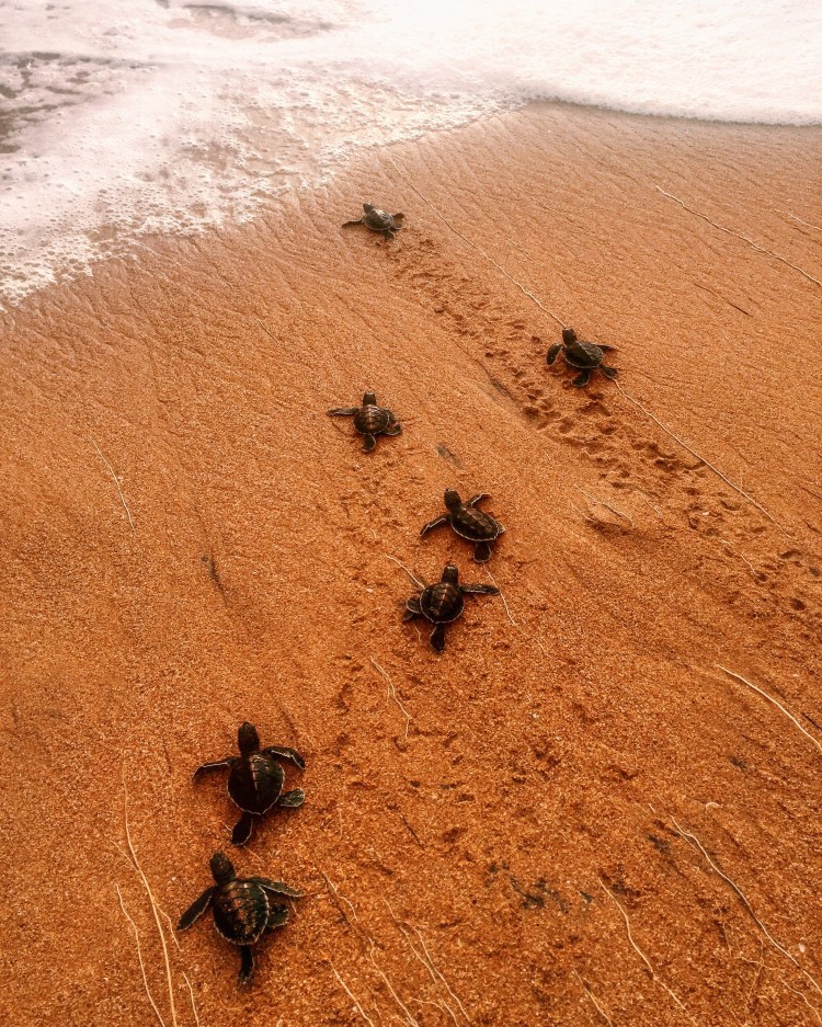 Processed with VSCO with c1 preset