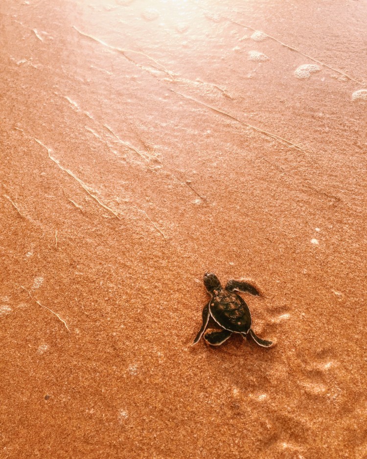 Processed with VSCO with c1 preset