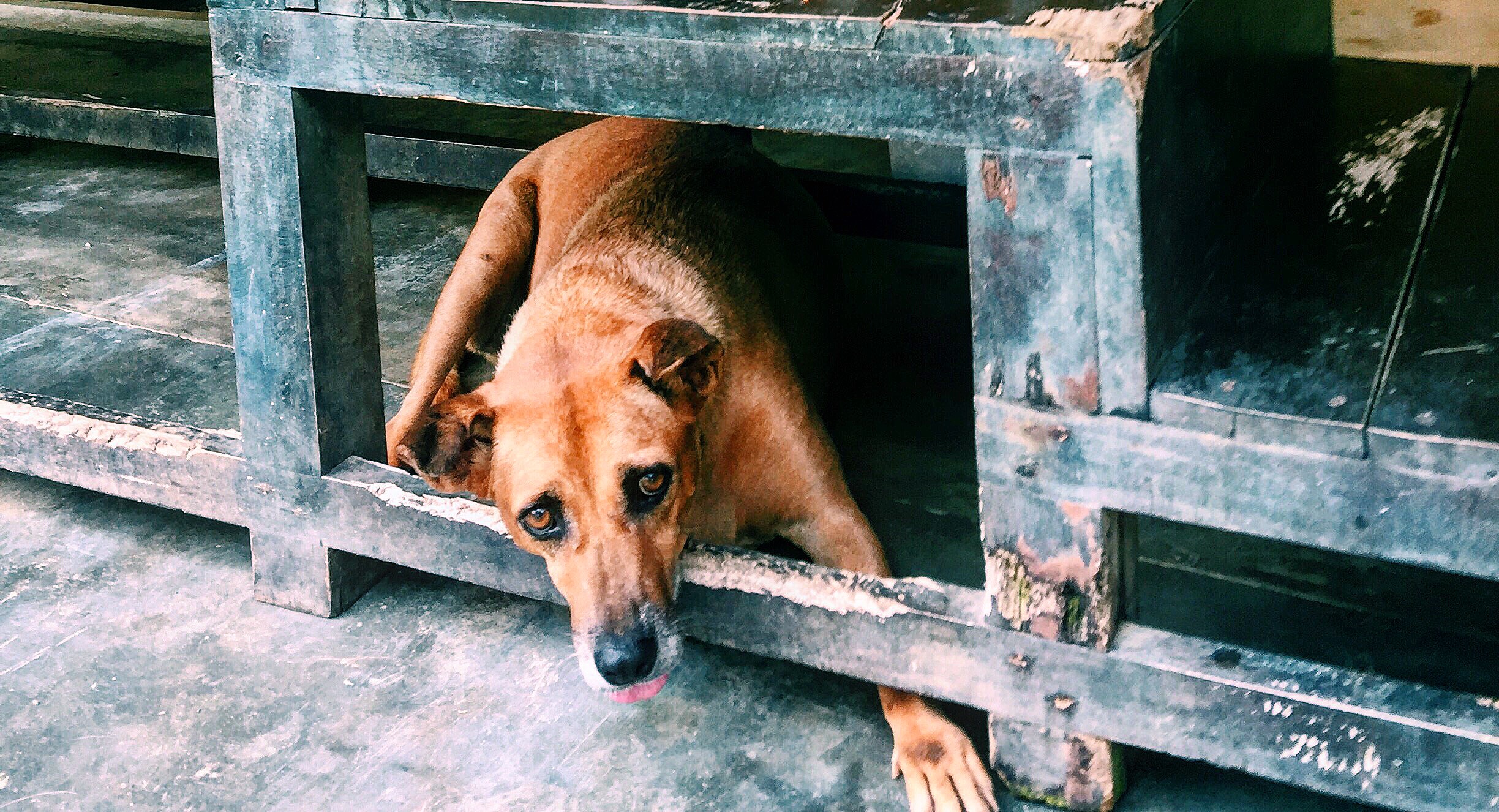 Processed with VSCO with c1 preset