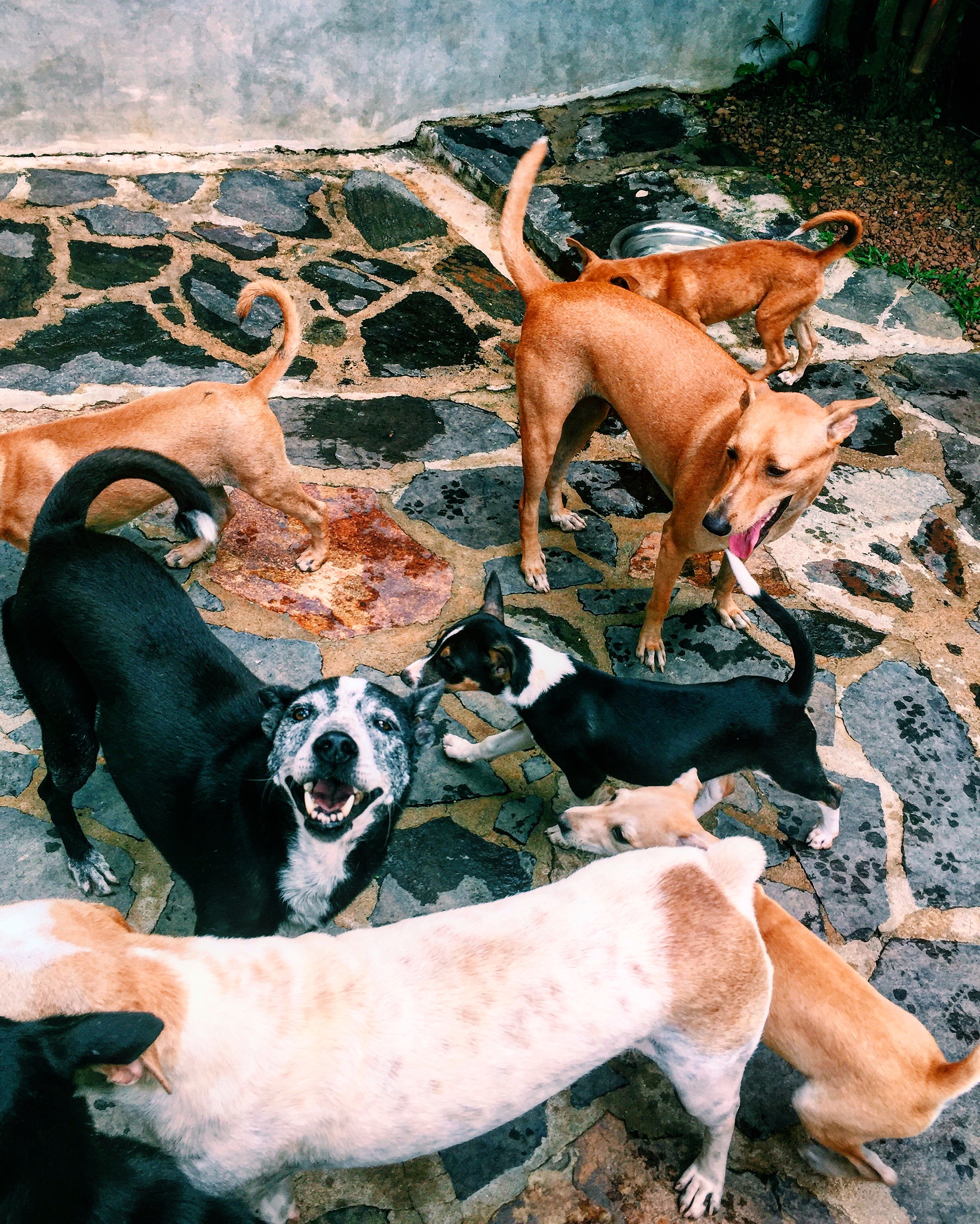 Processed with VSCO with c1 preset