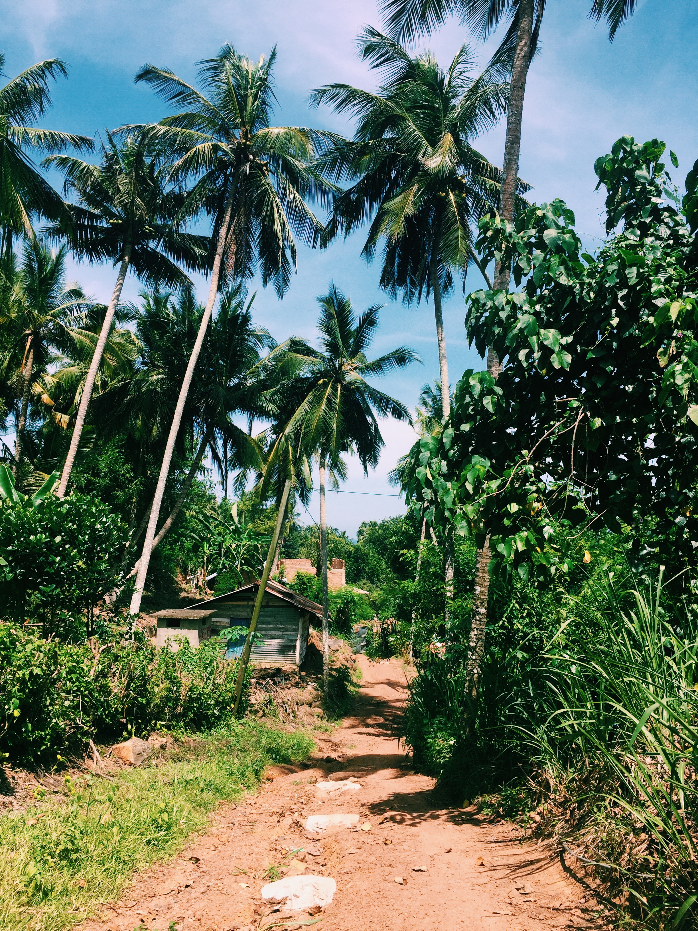 Processed with VSCO with c1 preset