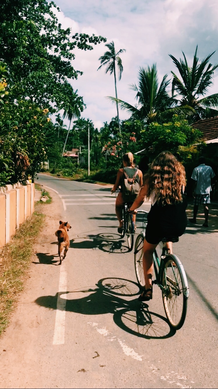 Processed with VSCO with c1 preset