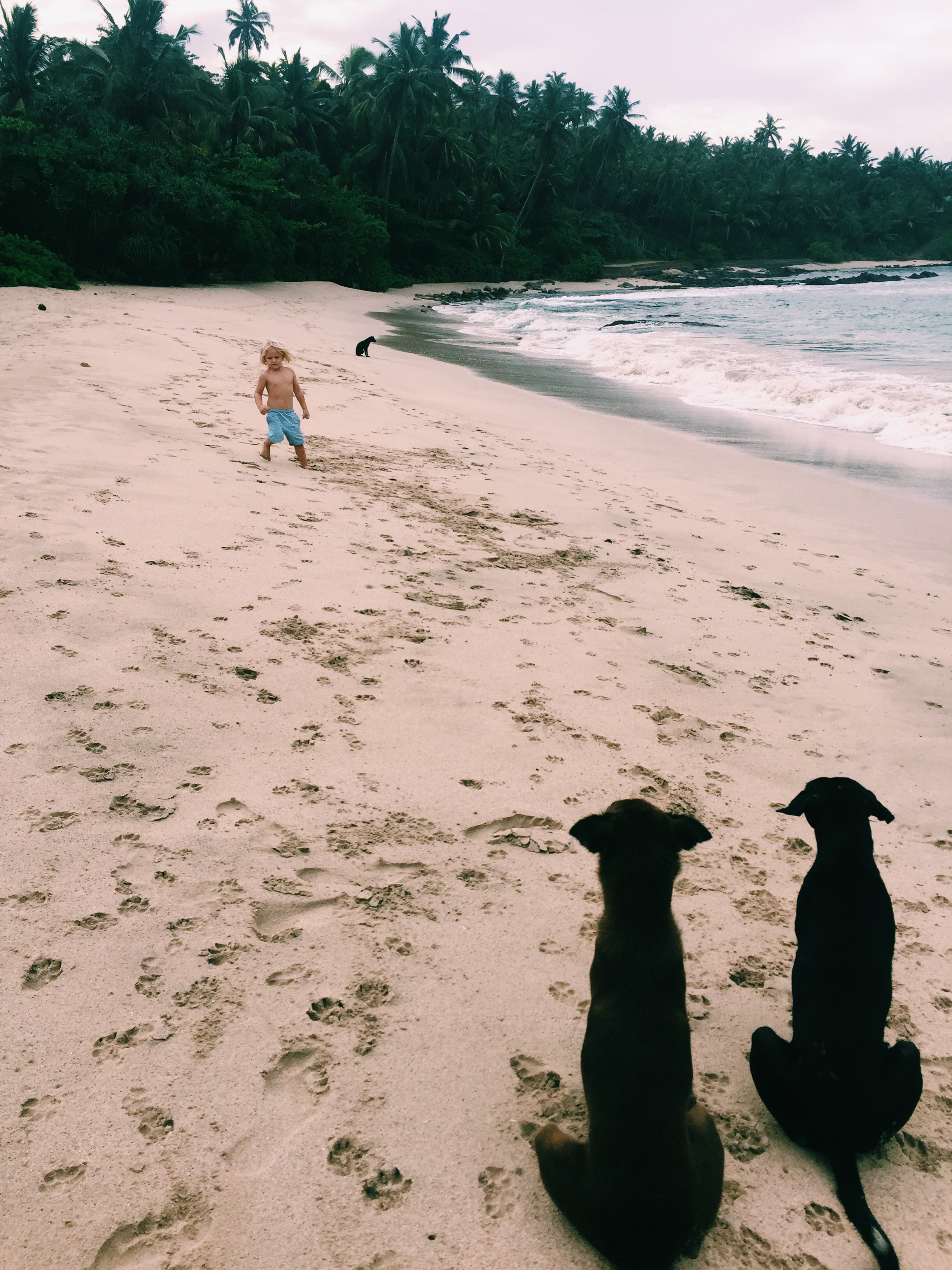 Processed with VSCO with c1 preset