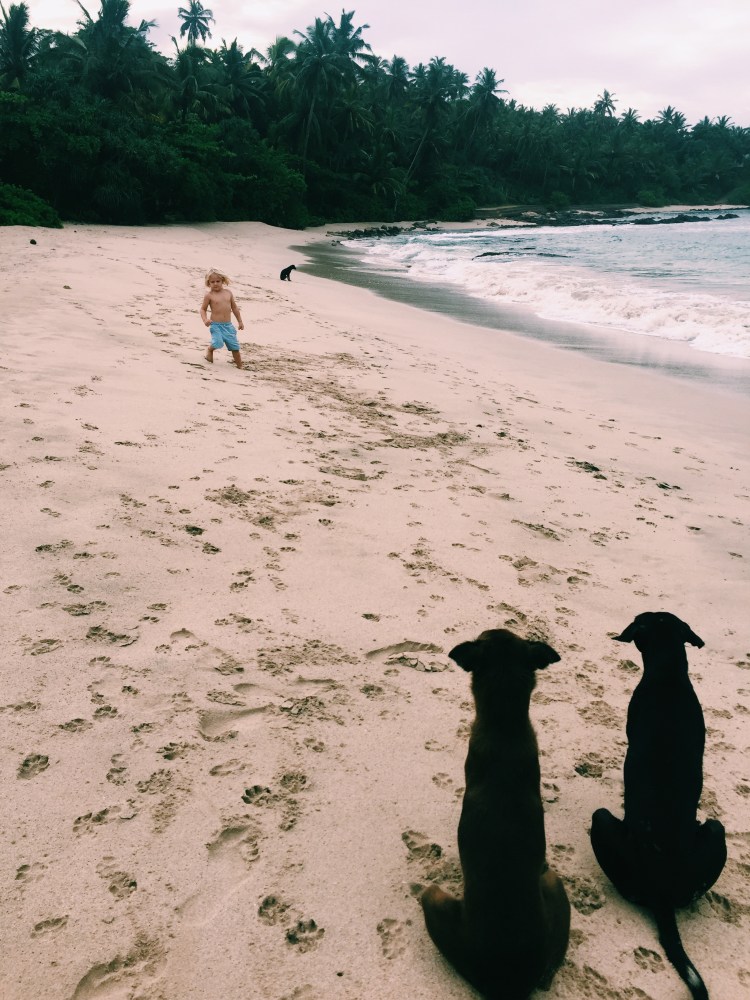 Processed with VSCO with c1 preset