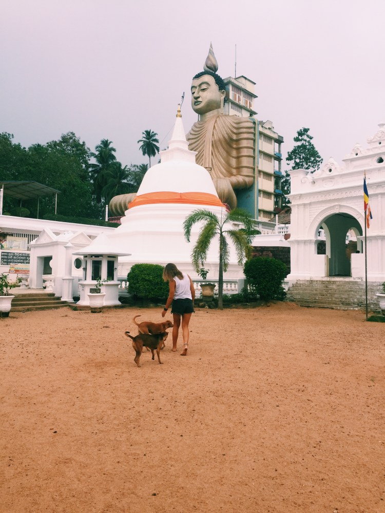 Processed with VSCO with c1 preset