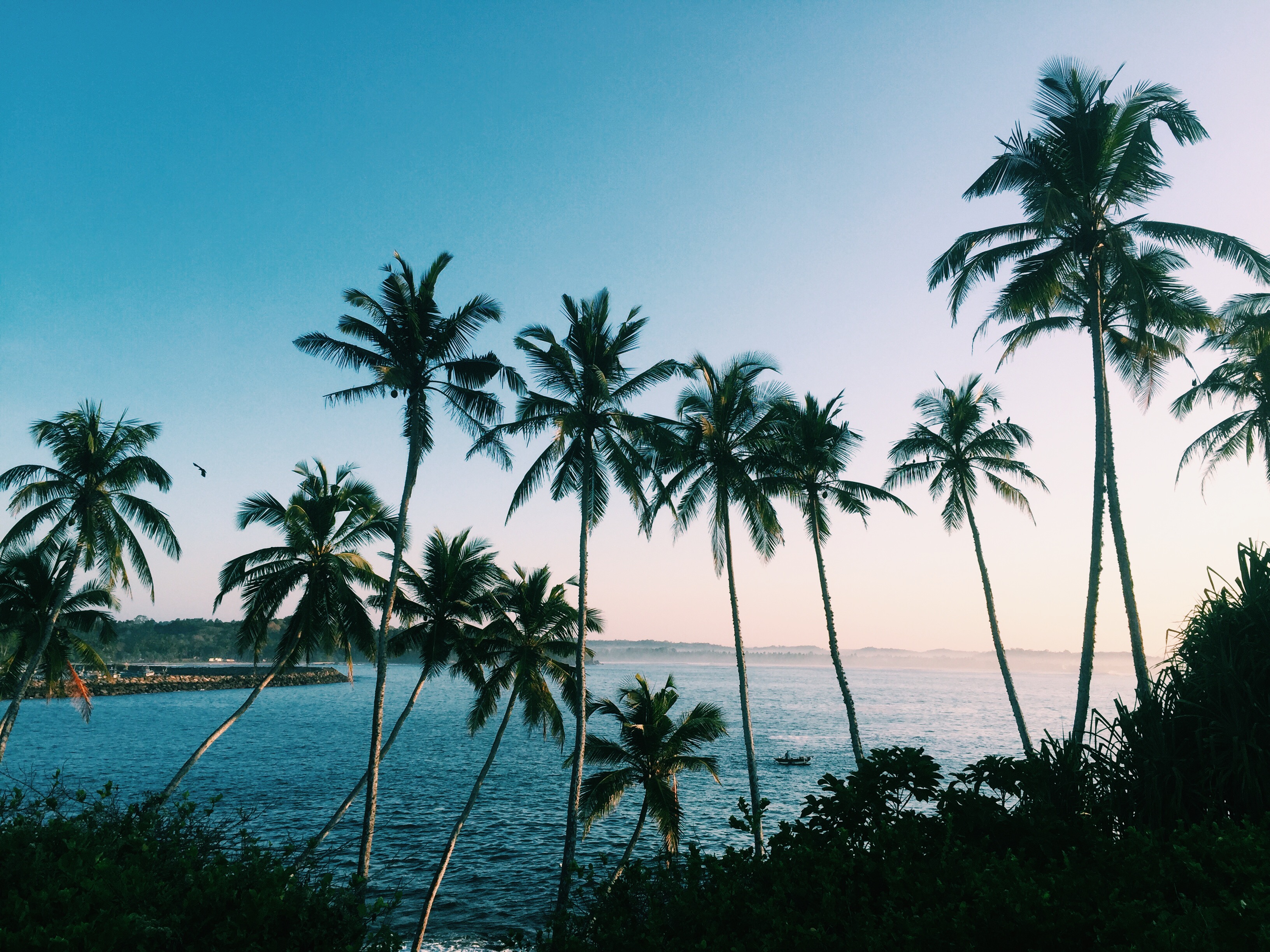 Processed with VSCO with c1 preset