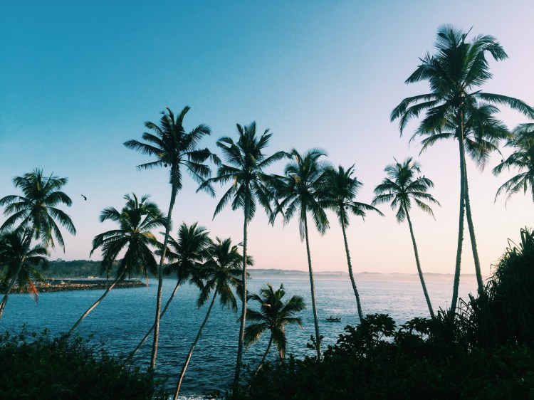 Processed with VSCO with c1 preset