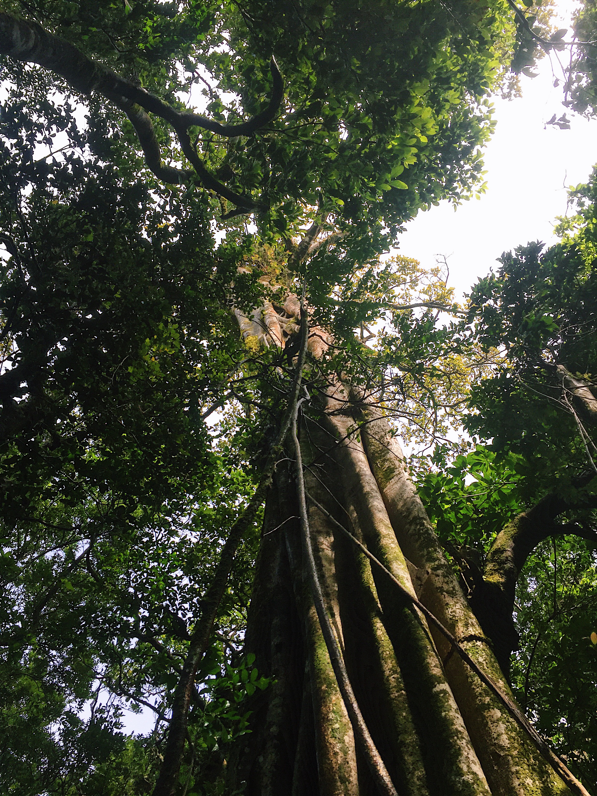 Processed with VSCO with c1 preset