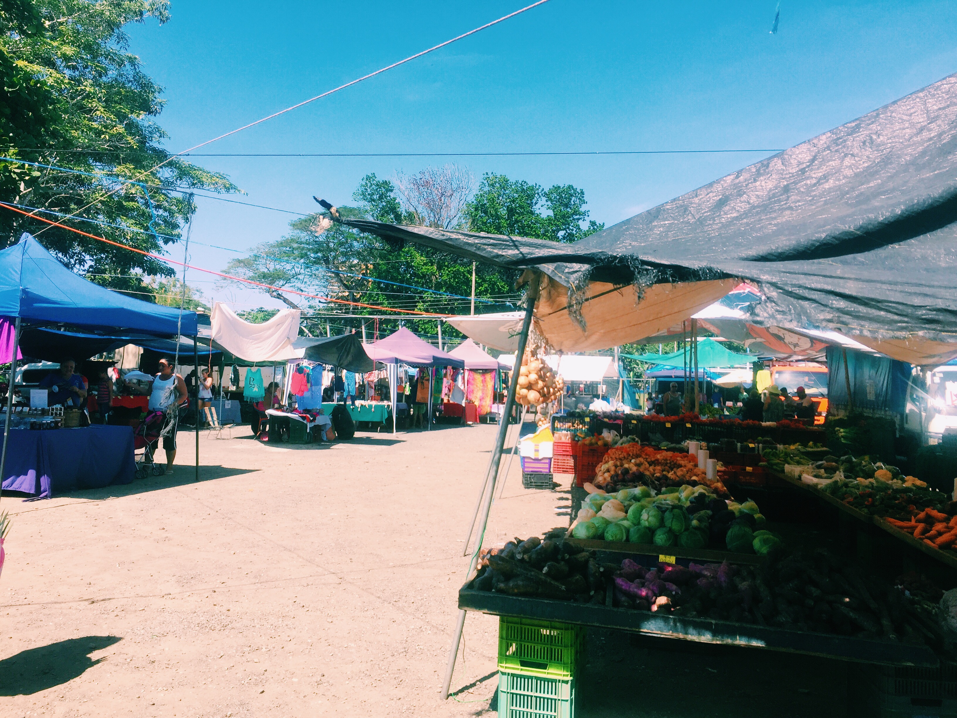 Processed with VSCO with c1 preset