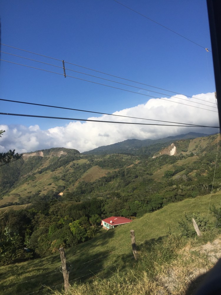 77298DD8-974E-4E1E-BB33-1A74D505FD1B