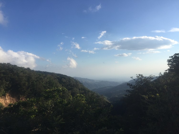 798C371B-0B3D-477A-B7B6-E0FAB58AEB09