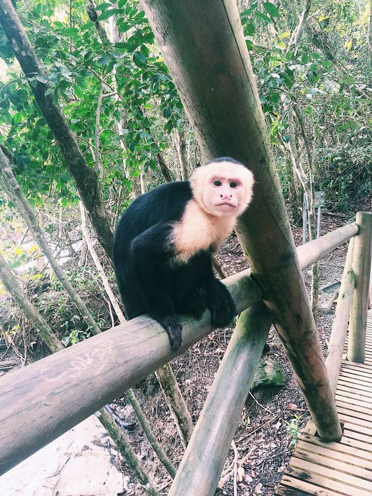 Processed with VSCO with c1 preset