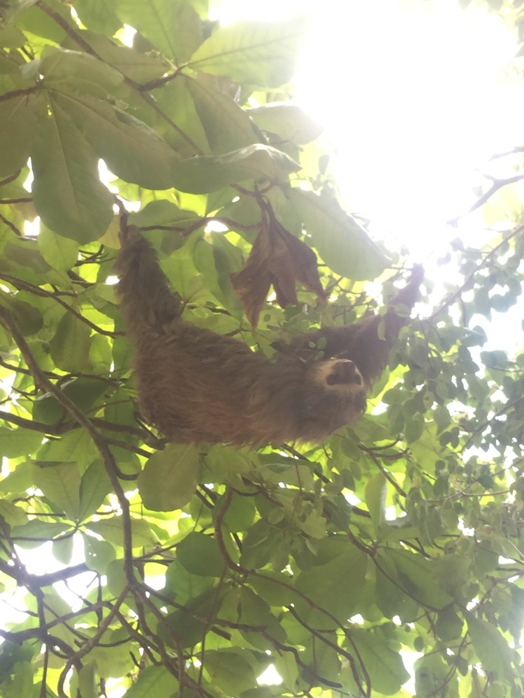 7A8A7FC6-EF24-4BAF-99DA-ACEBBE19F2E8