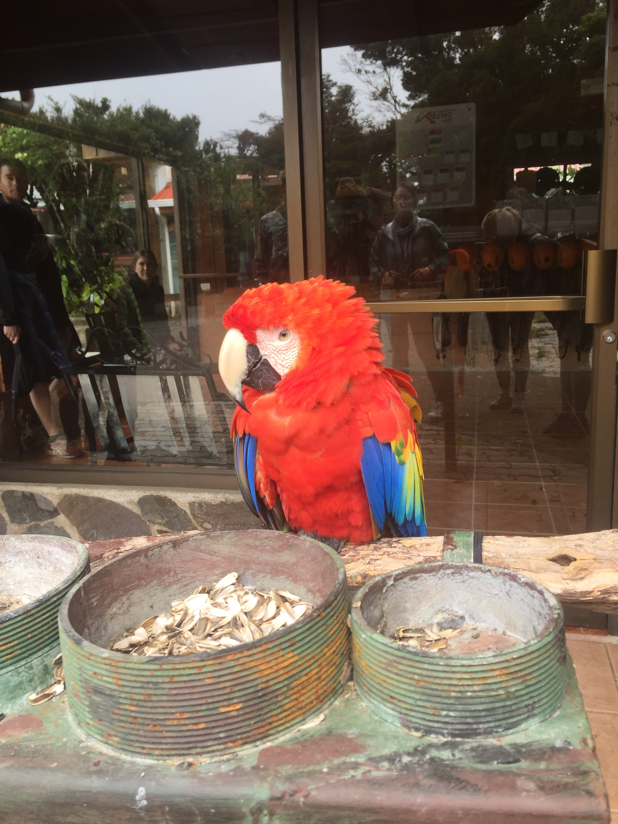 CBFE4445-8F46-4CF9-80C3-0536336DBA57