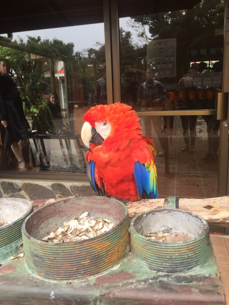 CBFE4445-8F46-4CF9-80C3-0536336DBA57