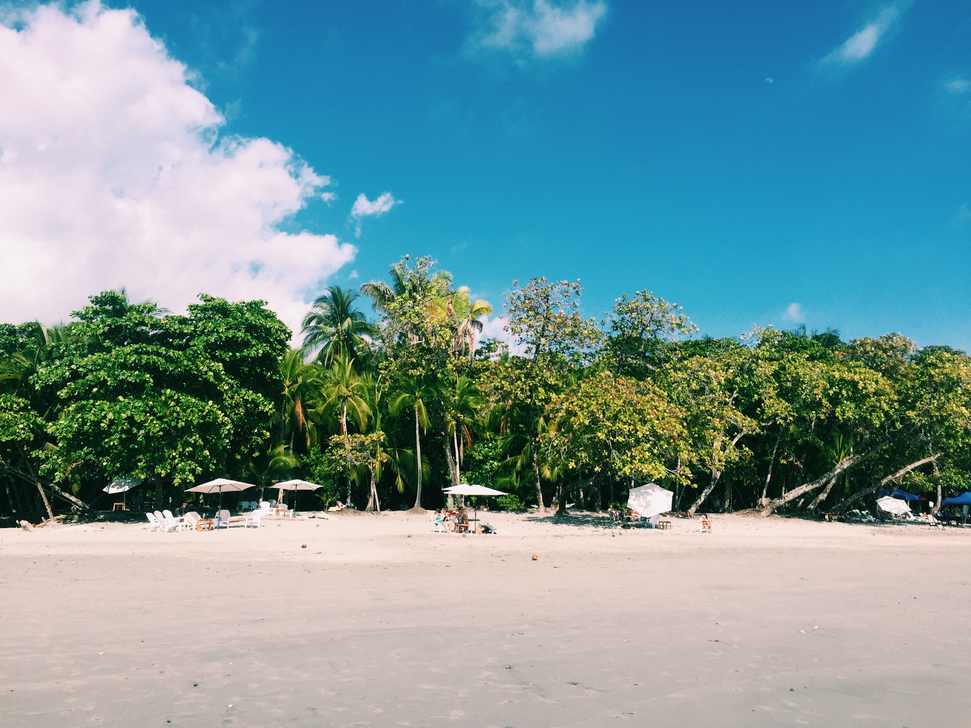 Processed with VSCO with c1 preset