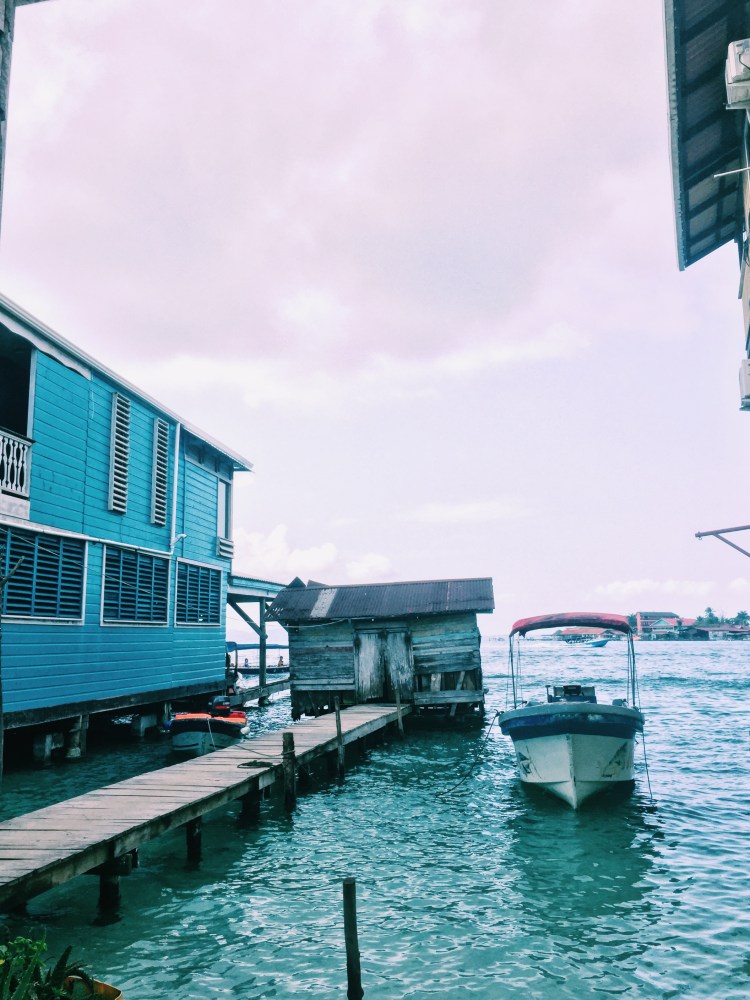 Processed with VSCO with c1 preset