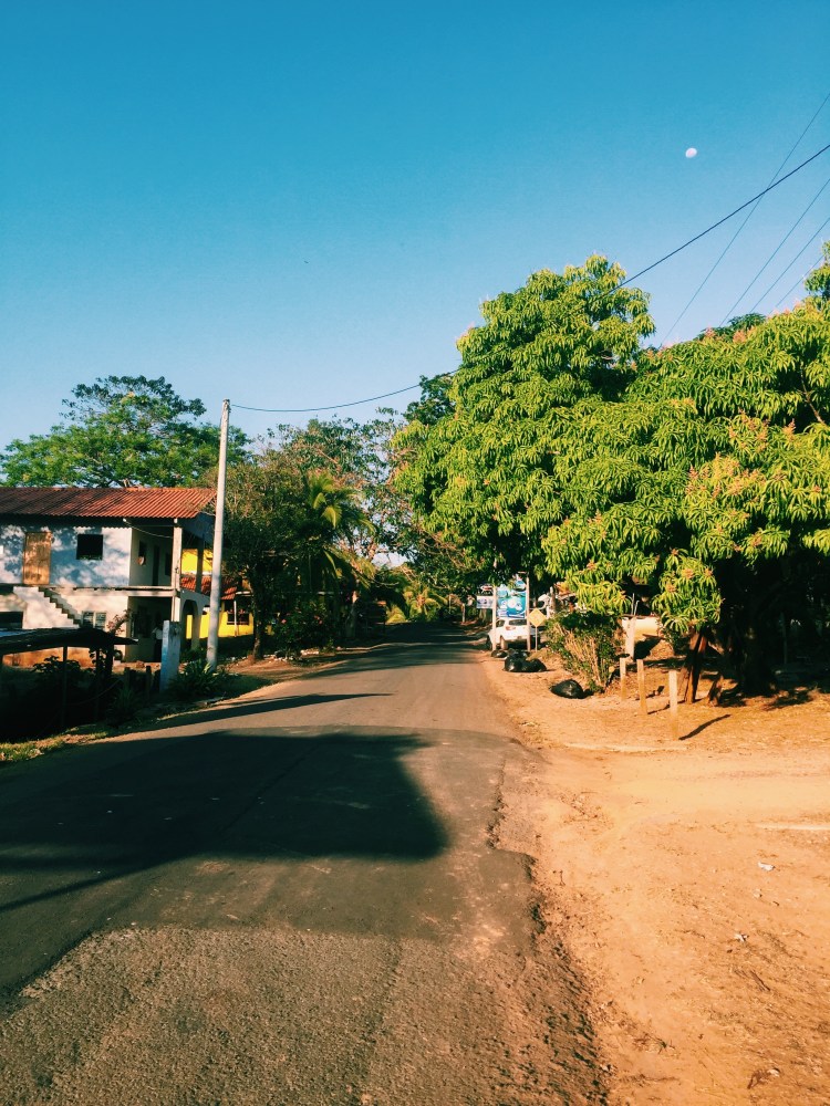 Processed with VSCO with c1 preset