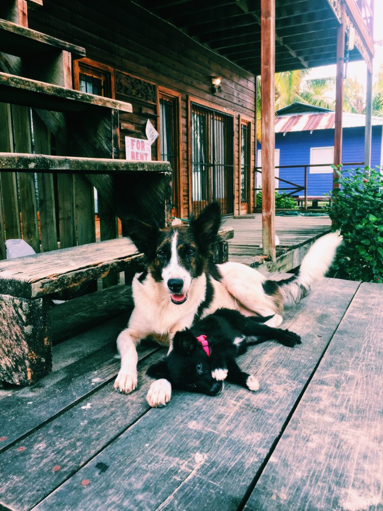 Processed with VSCO with c1 preset