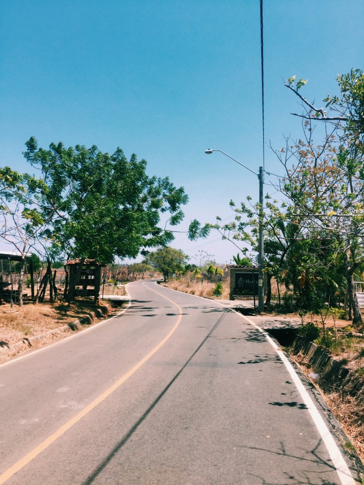 Processed with VSCO with c1 preset