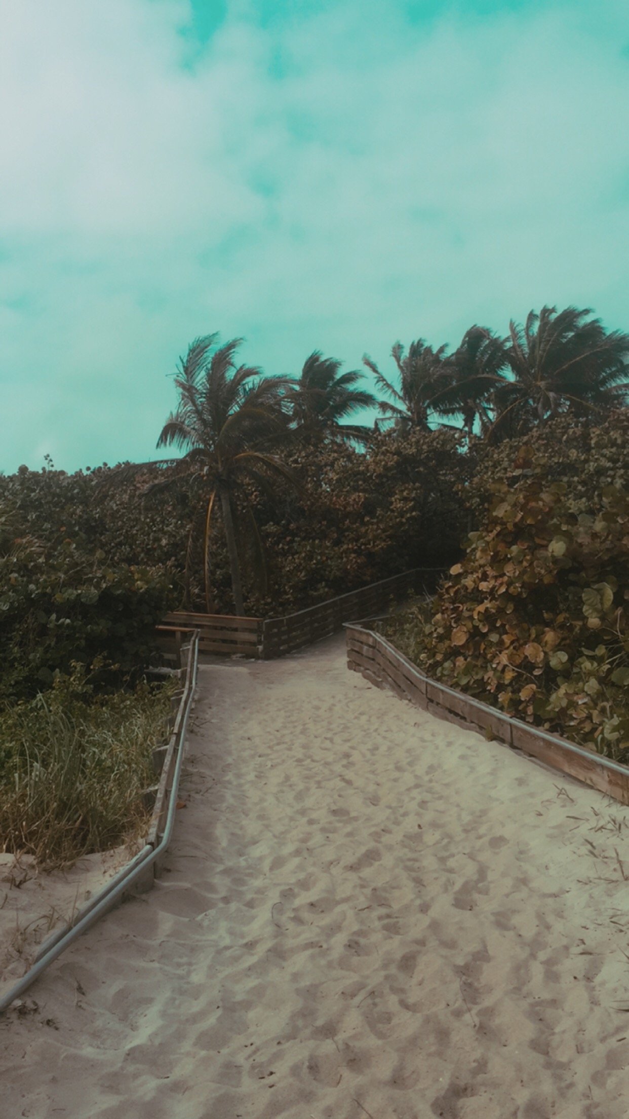 4DA98BBC-C391-4A1C-9CEE-FF41975563DD 2