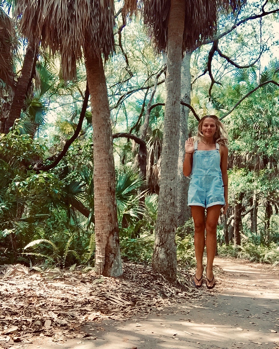 B86EAA66-4582-43AE-961F-F26EFE31AAF6 2